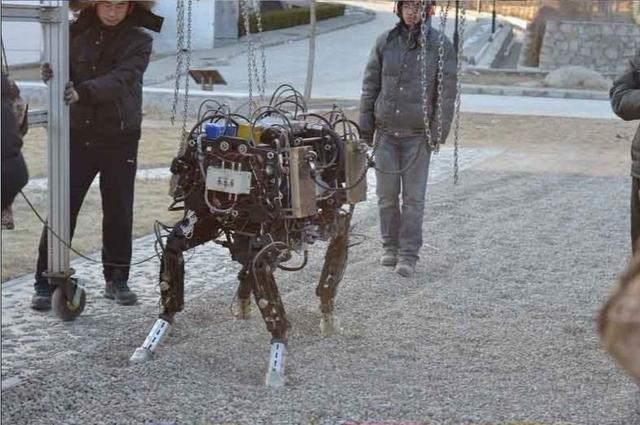 资料图:中国研制的四足智能机器人